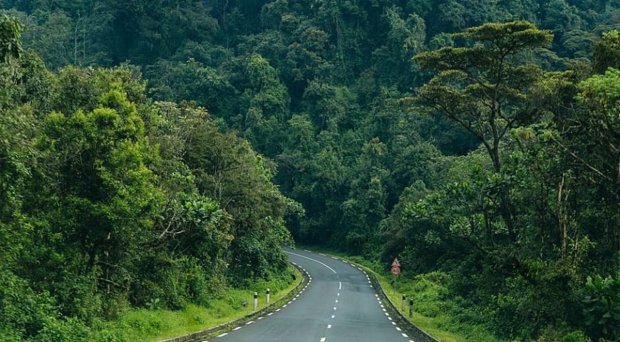 nyungweforestnationalpark